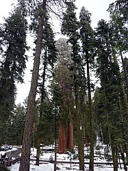 Sequoia parc(20).JPG Sequoia parc(20).JPG