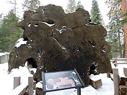 Sequoia parc(24).JPG Sequoia parc(24).JPG