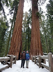 Sequoia parc(25).JPG Sequoia parc(25).JPG