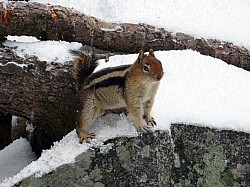 Sequoia parc(29).JPG Sequoia parc(29).JPG