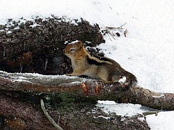 Sequoia parc(31).JPG Sequoia parc(31).JPG