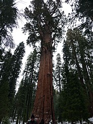 Sequoia parc(35).JPG Sequoia parc(35).JPG