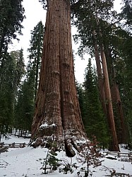 Sequoia parc(37).JPG Sequoia parc(37).JPG