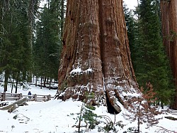 Sequoia parc(39).JPG Sequoia parc(39).JPG