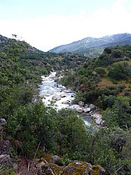 Sequoia parc(4).JPG Sequoia parc(4).JPG