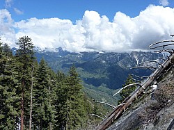 Sequoia parc(45).JPG Sequoia parc(45).JPG