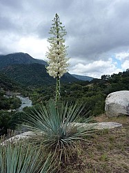 Sequoia parc(5).JPG Sequoia parc(5).JPG