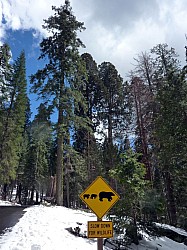 Sequoia parc(54).JPG Sequoia parc(54).JPG