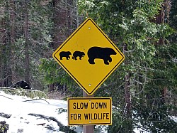 Sequoia parc(55).JPG Sequoia parc(55).JPG