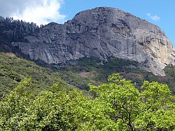 Sequoia parc(57).JPG Sequoia parc(57).JPG