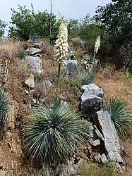 Sequoia parc(6).JPG Sequoia parc(6).JPG