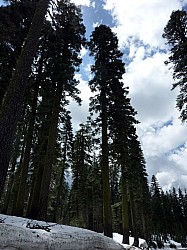 Volcan Lassen (29).JPG Volcan Lassen (29).JPG