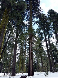 Volcan Lassen (31).JPG Volcan Lassen (31).JPG