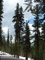 Volcan Lassen (33).JPG Volcan Lassen (33).JPG