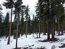 Volcan Lassen (34).JPG Volcan Lassen (34).JPG