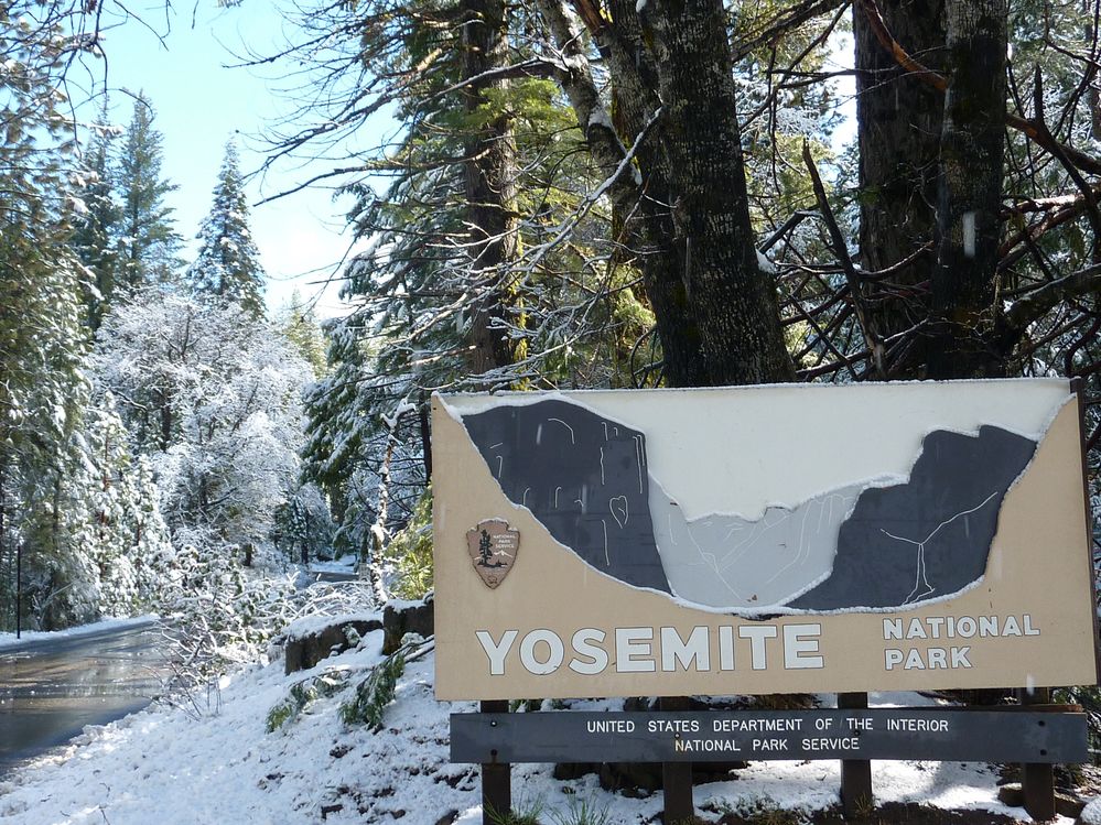 Yosemite park (1).JPG