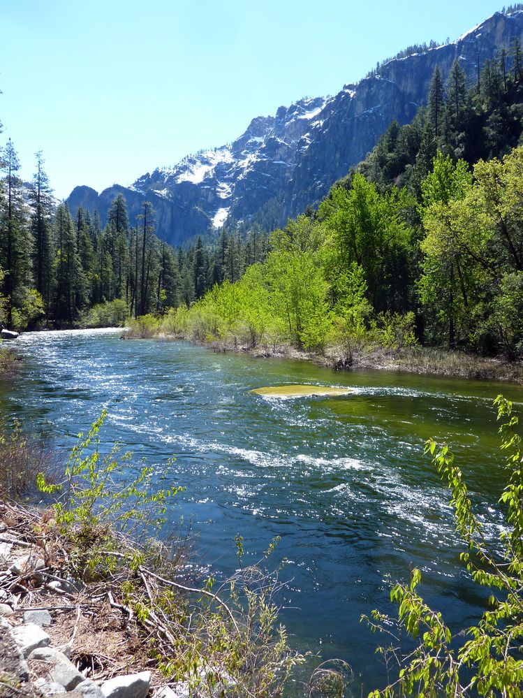 Yosemite park (112).JPG