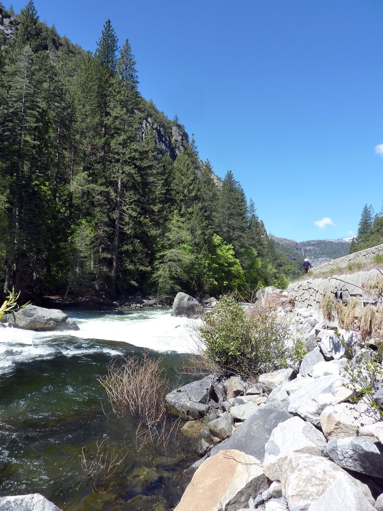 Yosemite park (113).JPG