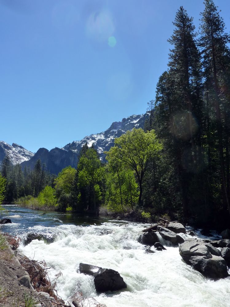 Yosemite park (115).JPG