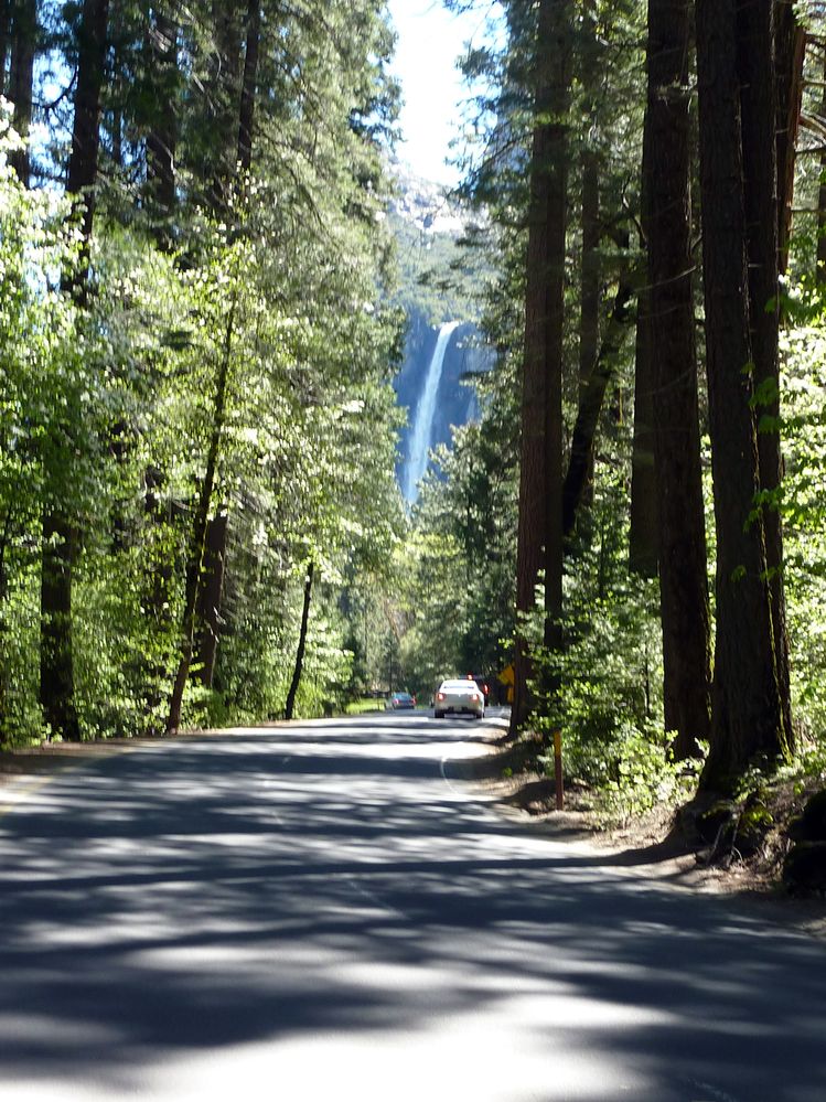 Yosemite park (120).JPG