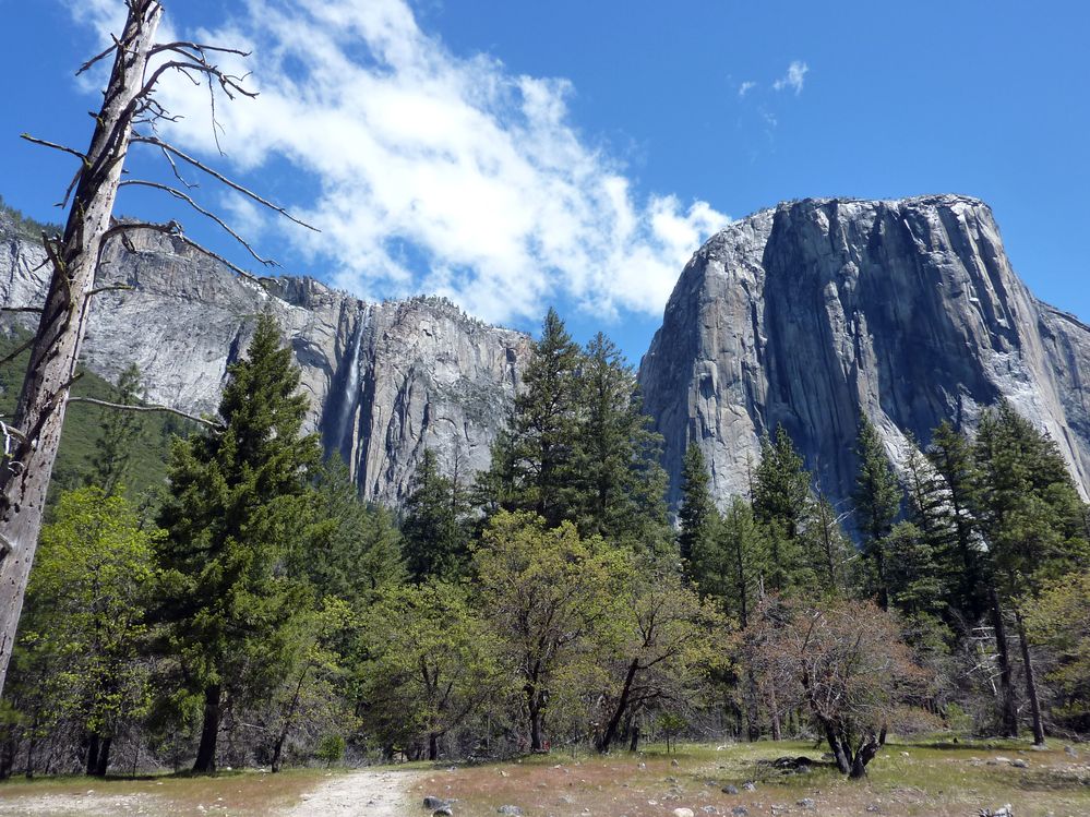 Yosemite park (130).JPG
