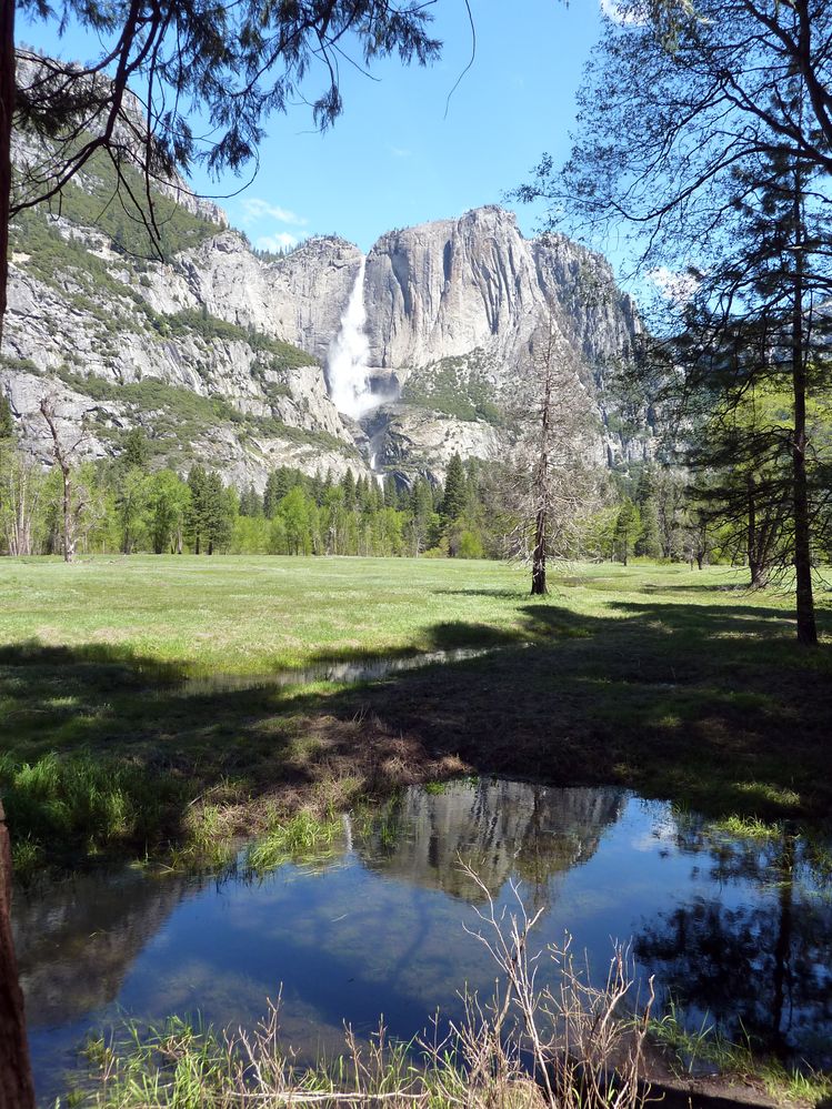 Yosemite park (137).JPG