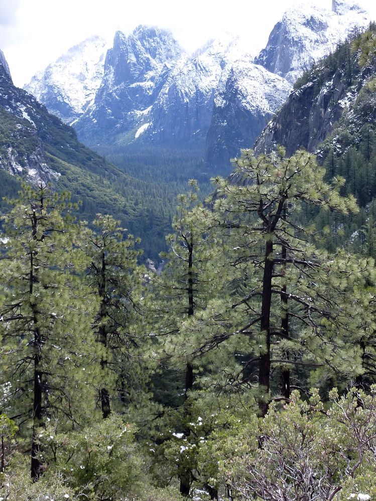 Yosemite park (14).JPG