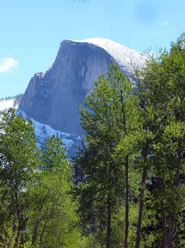 Yosemite park (147).JPG