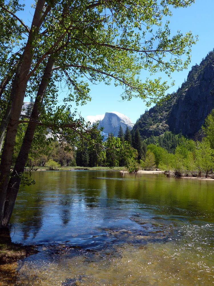 Yosemite park (155).JPG