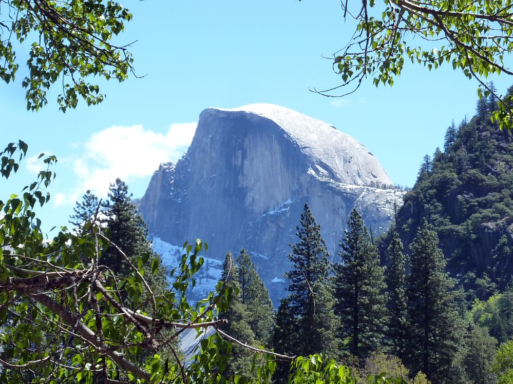 Yosemite park (157).JPG