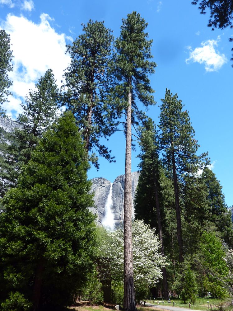 Yosemite park (158).JPG