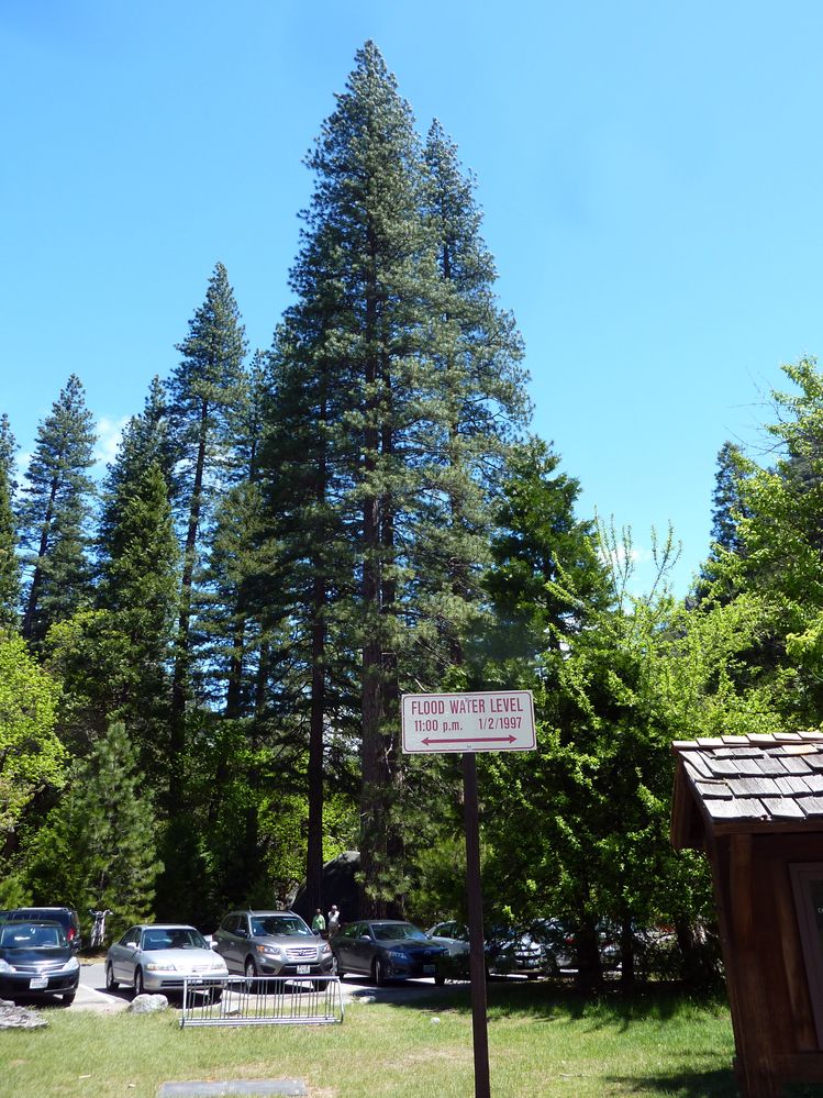Yosemite park (164).JPG