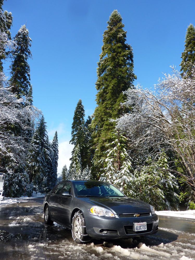Yosemite park (2).JPG