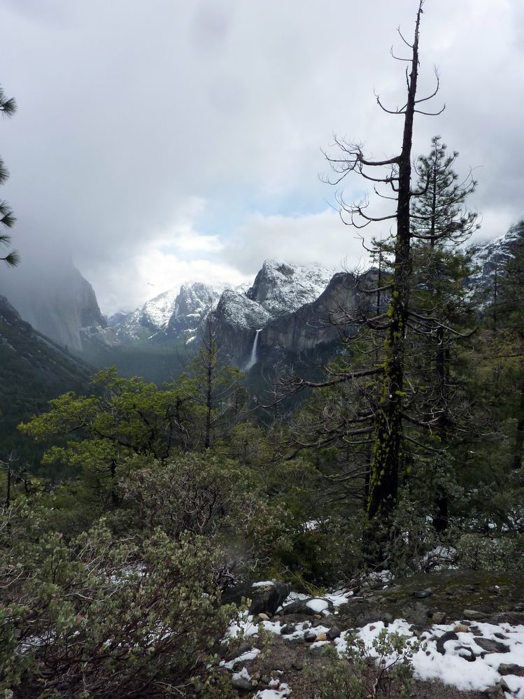 Yosemite park (22).JPG