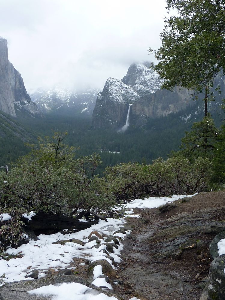 Yosemite park (23).JPG
