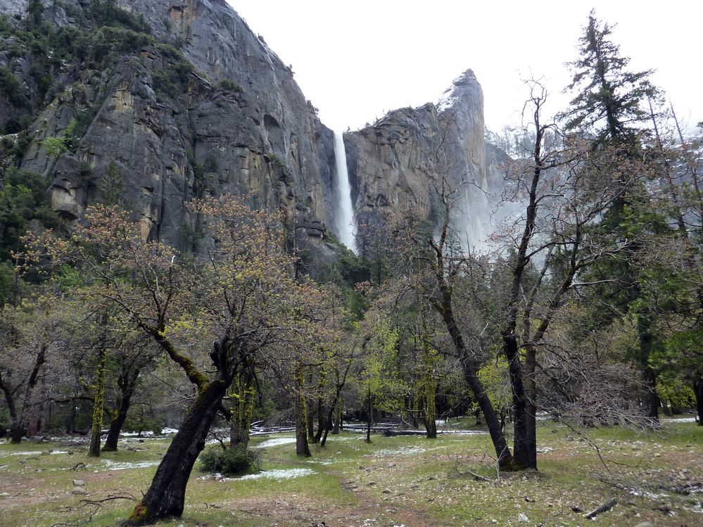 Yosemite park (29).JPG