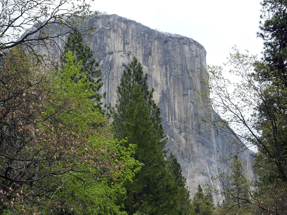 Yosemite park (59).JPG