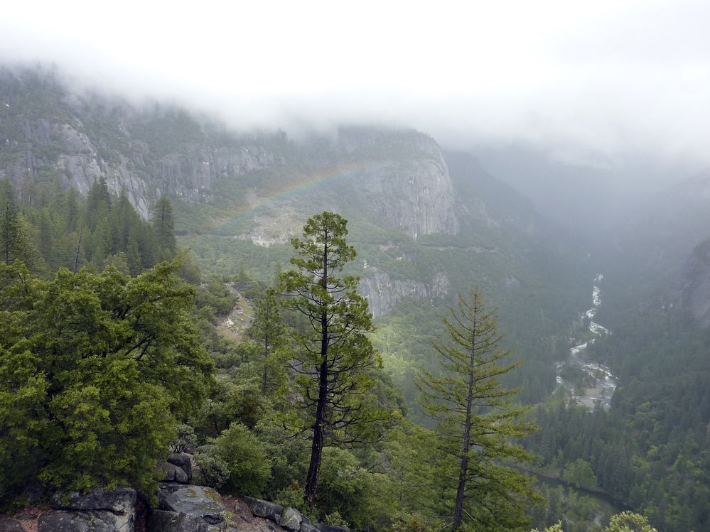 Yosemite park (94).JPG