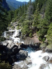 Yosemite park (110).JPG