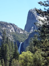 Yosemite park (124).JPG