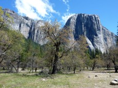 Yosemite park (127).JPG