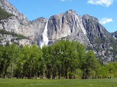 Yosemite park (133).JPG