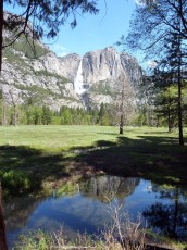 Yosemite park (137).JPG