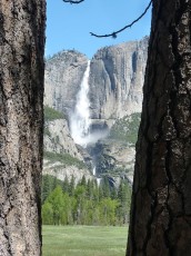 Yosemite park (140).JPG