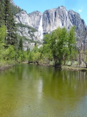 Yosemite park (142).JPG