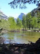 Yosemite park (146).JPG