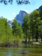 Yosemite park (148).JPG