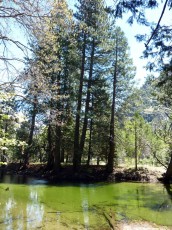 Yosemite park (159).JPG