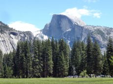 Yosemite park (160).JPG