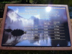 Yosemite park (161).JPG